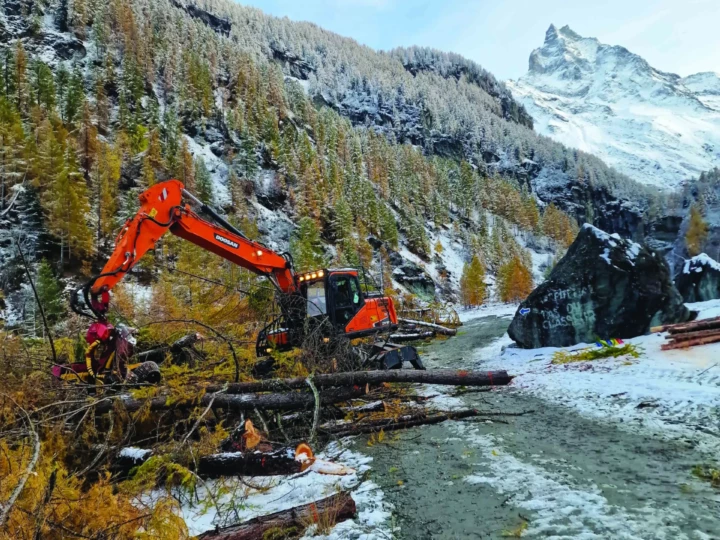 Travaux forestiers du Triage forestier d’Anniviers